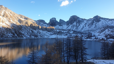 In 1924, Arctic charr from Lake Geneva were stocked into Lake Allos; a century later, their descendants showed distinct metabolic responses under identical conditions