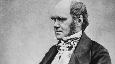 Quote of the day by Charles Darwin: “An American monkey, after getting drunk on brandy, would never touch…” – a witty observation on why humans often repeat the mistakes they already know can harm them |