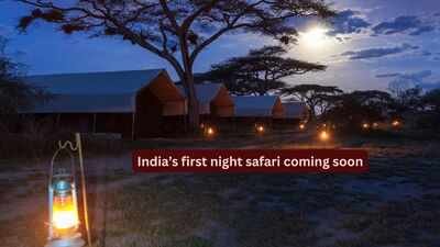 Kukrail Night Safari: India’s first night safari coming soon to Lucknow’s Kukrail Forest; set to offer a one-of-a-kind wildlife experience