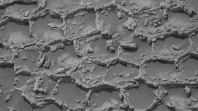 NASA’s curiosity rover spots mysterious honeycomb pattern on Mars, leaving scientists puzzled over its origin