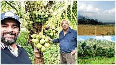 R Madhavan turns barren land into lush coconut farm in Tamil Nadu; 3-year eco-friendly project brings back biodiversity, actor plans expansion across India | Hindi Movie News