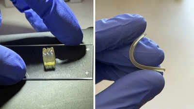 Scientists create liver and kidney tissues in space for the first time in a microgravity environment: Expected to change the future of biological manufacturing |