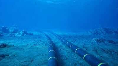 Scientists turn undersea internet cables into giant whale detectors that can track even silent whales through tiny changes in water movement |