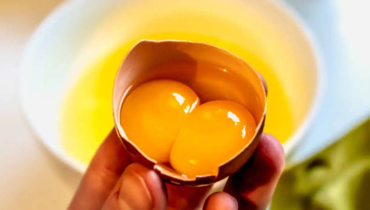 Why do some eggs have double yolks? The science behind it explained