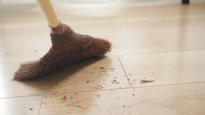 Dust Sources In The Home: Why your house gets dusty so quickly even after regular cleaning: 7 overlooked sources that are causing dirt in plain sight