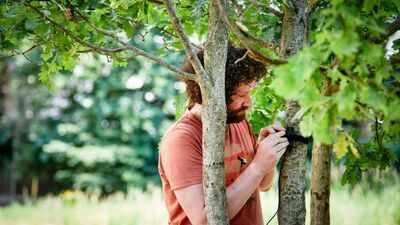 A London museum’s urban garden collected more than 11 million environmental records in one year; 50 sensors tracked heat, humidity, birdsong and underwater sounds |