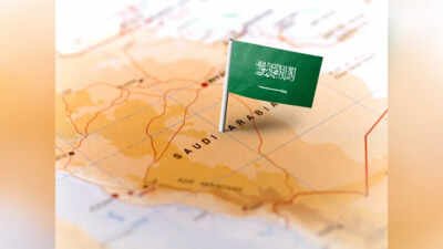 Bilateral Investment Treaty: Govt likely to sign BIT with Saudi Arabia